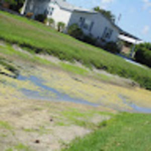 Meet your Posher, Thomas